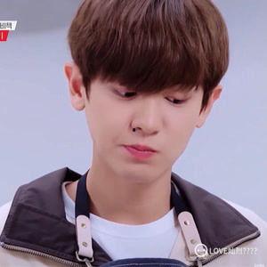 朴灿烈的个人资料,韩流偶像的青春魅力与音乐梦想