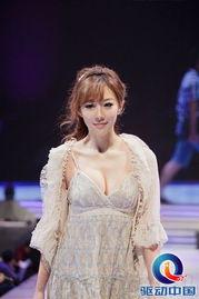 中娱乐圈之度娘,中娱乐圈背后的秘密与风云