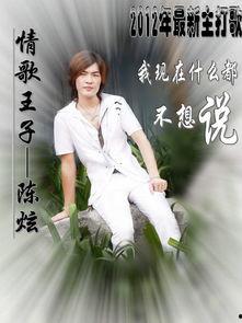 陈炫照片,光影中的独特魅力