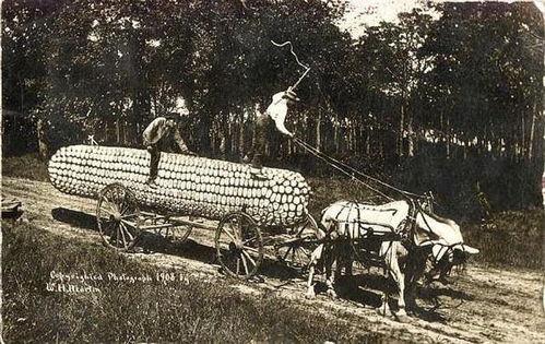 美国内战的背景