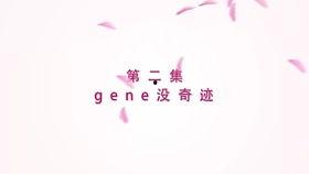 八卦纯洁,揭秘神秘八卦背后的纯净世界